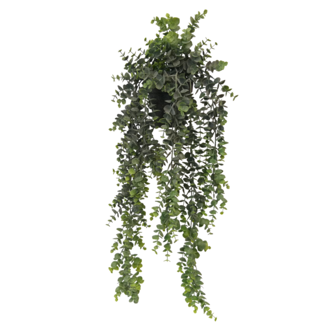 HANGING EUCALYPTUS 66CM
