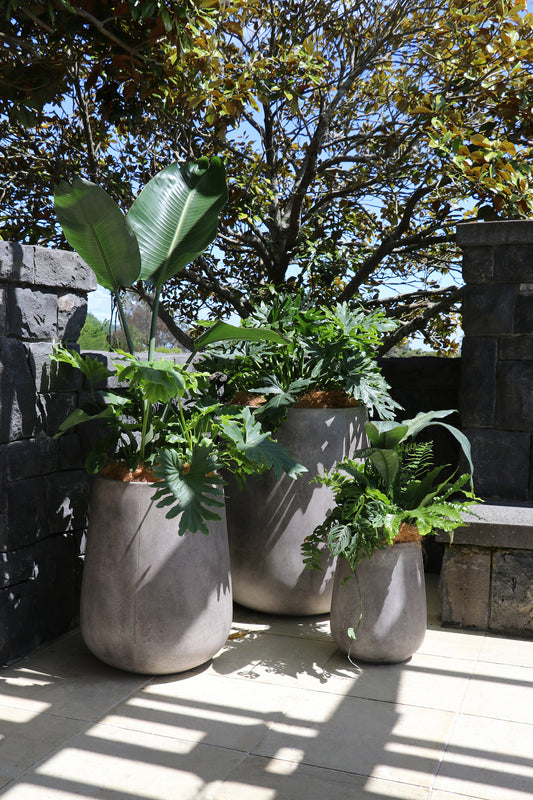 KARAMEA WEATHERED CEMENT PLANTER