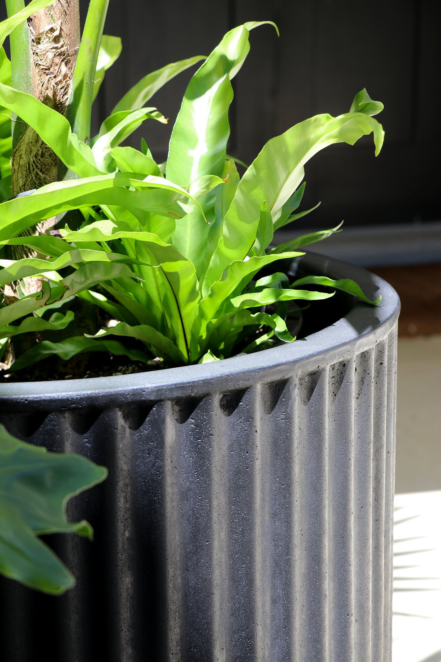 PAIKO RIBBED CYLINDER PLANTER- BLACK