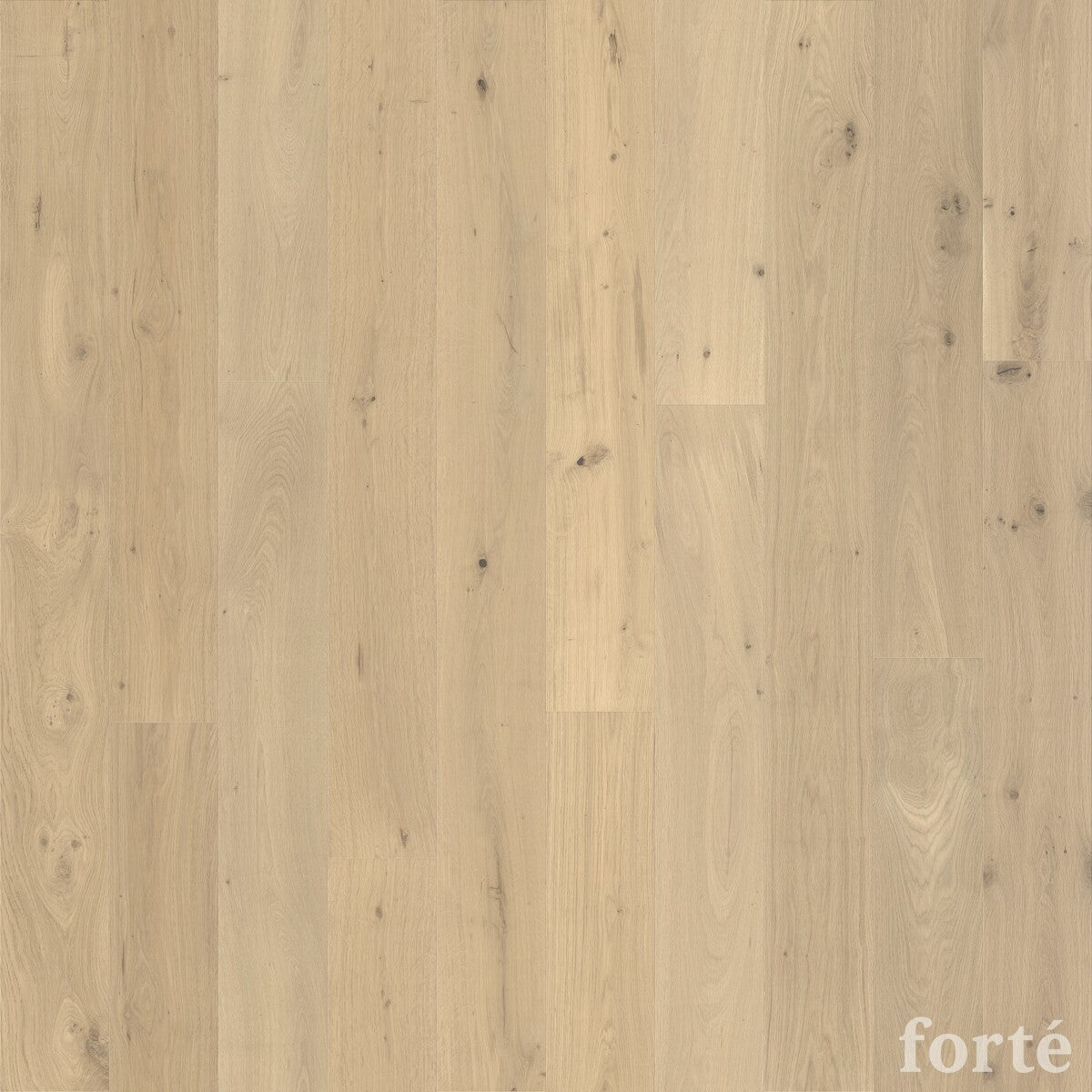 FORTE, MODA CAPRI FEATURE WOOD FLOORING