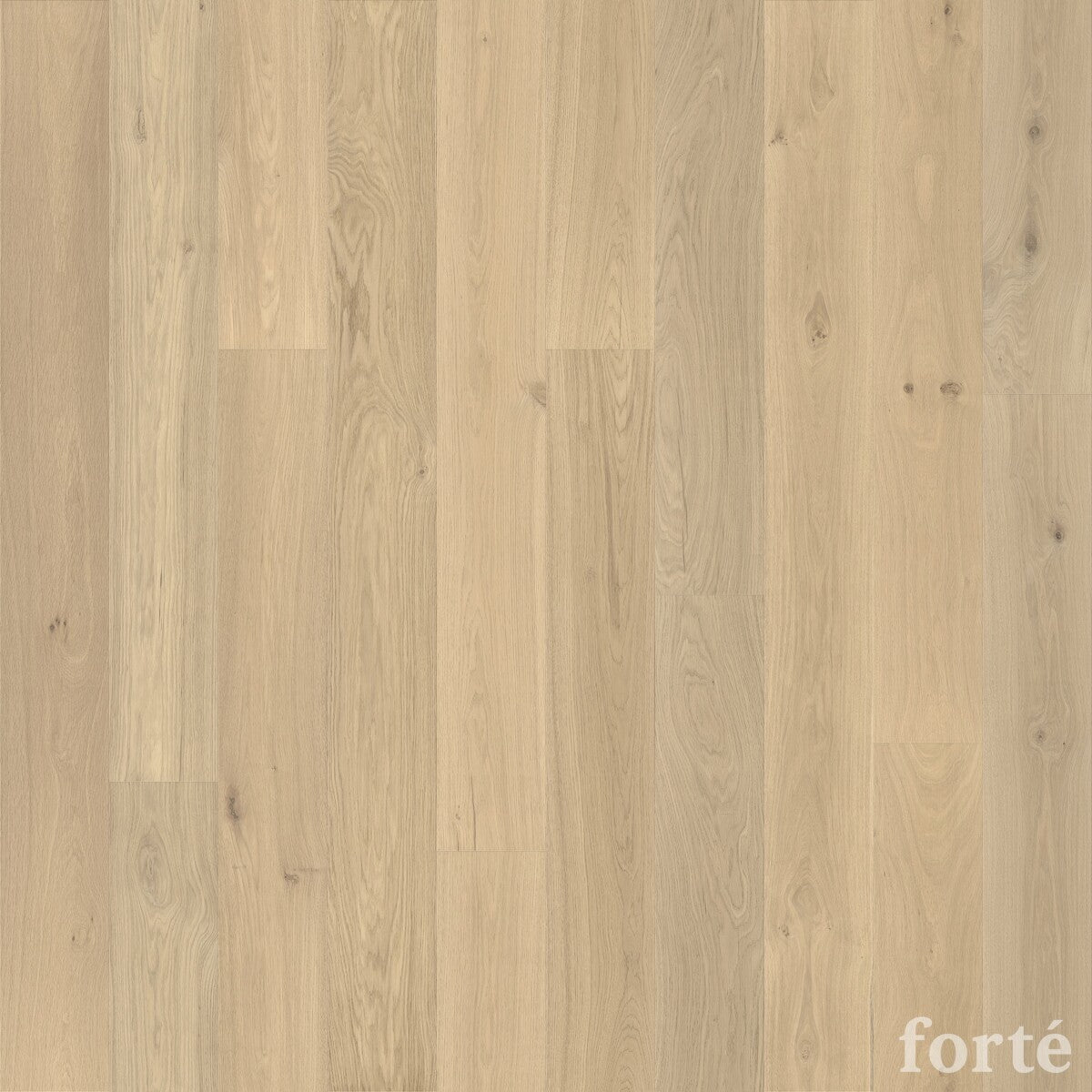 FORTE, CAPRI LIGHT FEATURE TIMBER FLOORING