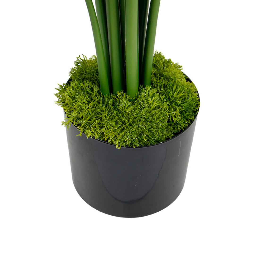 Moss Artificial