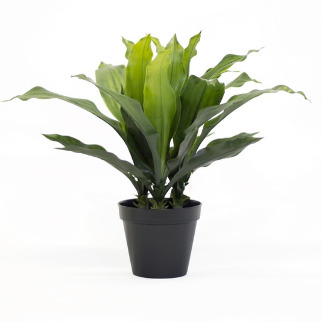 Artificial Plant Interior design