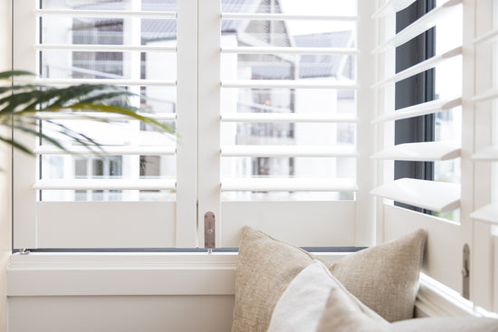 white shutter christchurch